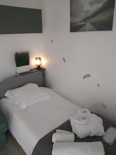 hauts des 2 lions -studio - Location saisonnière - Joué-lès-Tours