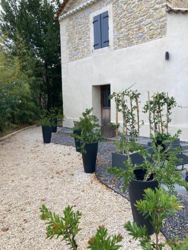 Dārzs, Très beau T2 dans mas . (Tres beau T2 dans mas .) in Boisset-et-Gaujac