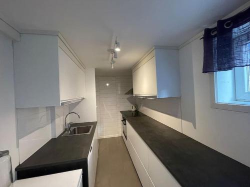 Larvik appartment in the city in ลาร์วิค