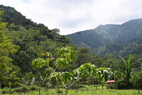 Bitzu Dome-Bijagua Riverside Glamping