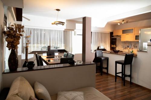 Apartament CENTRAL 1