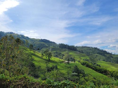 Garden, FINCA LA FORTALEZA in Santa Rosa De Cabal