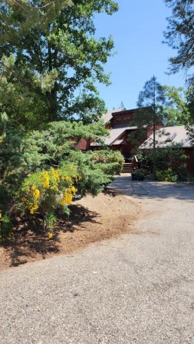 Yosemite Mountain Retreat - Accommodation - Oakhurst