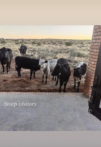 Hidden Karoo Cottage