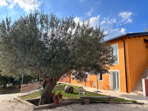 2 bedrooms, 3 beds