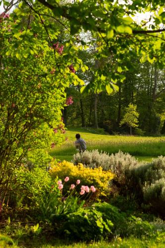 Le château de Bonnemare - Bed and breakfast