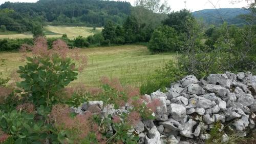 Homestead Vrbin - image 4