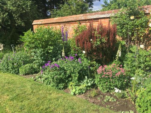 Garden Cottage B&b in Basingstoke Külváros