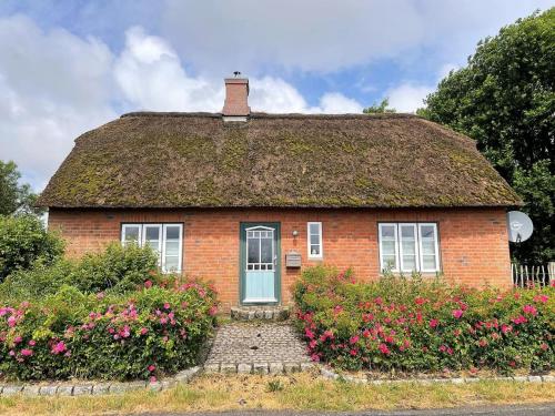 Das Puppenhaus, Reetdach, Sauna, Kamin, eingezäunt, Badewanne, Haustiere willkommen