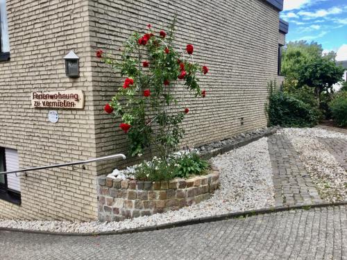 Fewo Amber in Heimbach, Deutschland