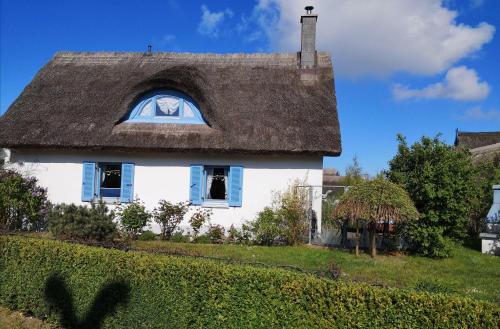 Ferienhaus-Seehund - image 13
