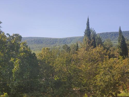 Kilátás, Gogi's Paradise Guesthouse in Akhmeta