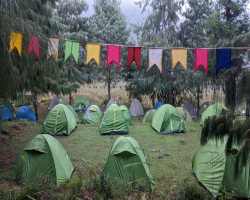 Encamp Ziro Valley Camp