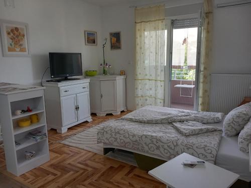 Studio D in Sombor
