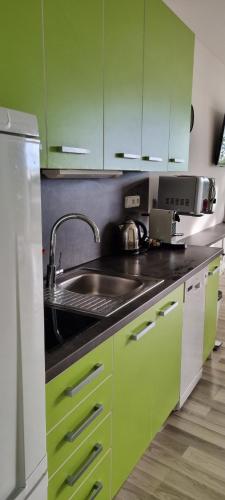 設施, Apartmán Pavlov Pálavské vinohrady (Apartman Pavlov Palavske vinohrady) in 帕夫洛夫