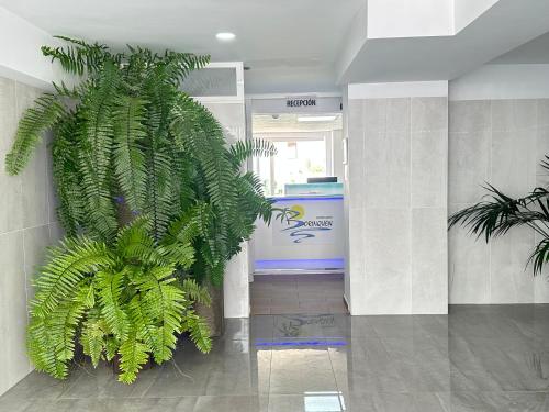 Apartamentos Borinquen - image 9