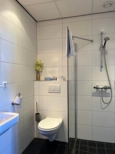 Het Wapen van Rhoon - image 2