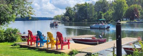 Trent River Cottages - Apartment - Hastings