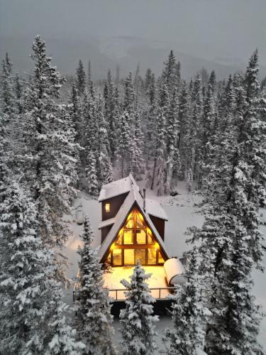 New Modern Rustic A-Frame Cabin with Barrel Sauna