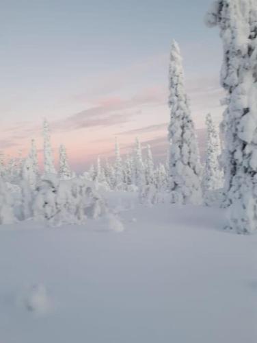 Levi Holiday home Poroileville in ลีวาย