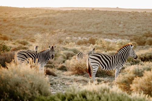 Breathe Accommodation Breathe Accommodation