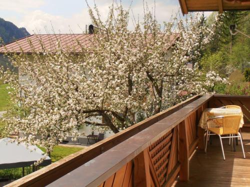 Balkon/terasa, Bergheim Komfort Ferienwohnungen in Winkl