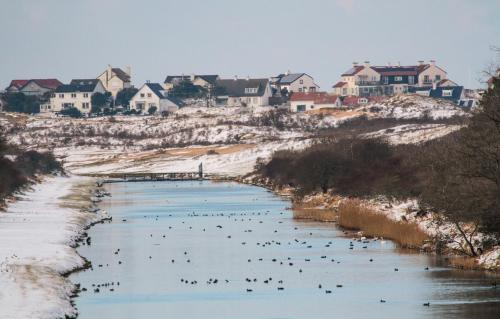 DuinVliet - Zandvoort Dunes & Free Parking, Bentveld