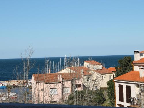 Studio Banyuls-sur-Mer, 1 pièce, 2 personnes - FR-1-309-74 - Location saisonnière - Banyuls-sur-Mer