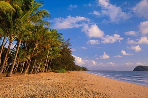 The Palms at Mango Lagoon - Palm Cove Wellness Haven