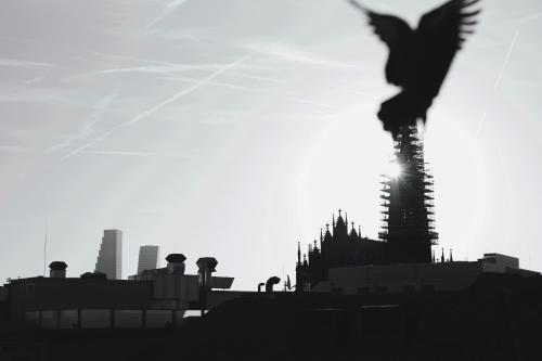ART HOUSE Basel - Member of Design Hotels