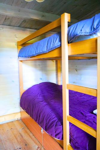 1 bunk bed