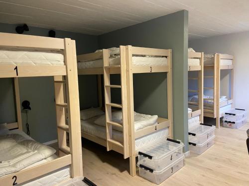 Bed in 8-Bed Mixed Dormitory Room