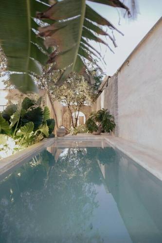Casa La Sultana: Amazing new house with pool in Valladolid, Mexico