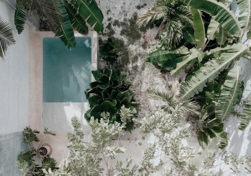 Casa La Sultana: Amazing new house with pool