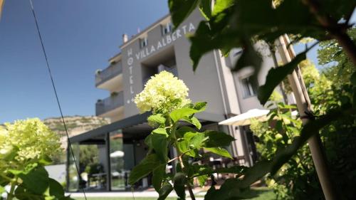 Hotel Villa Alberta - image 7