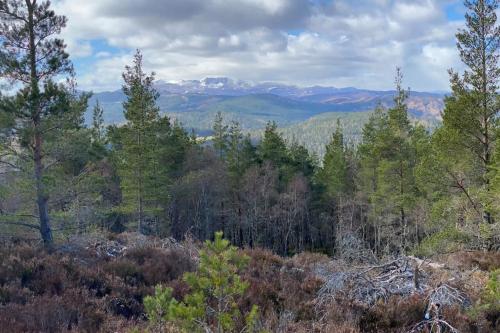 Ballater, Entire home hosted by Catherine