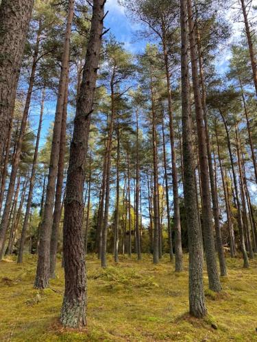 Ballater, Entire home hosted by Catherine