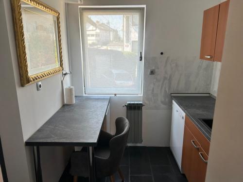 APARTMENT GAL in نوفوميستو