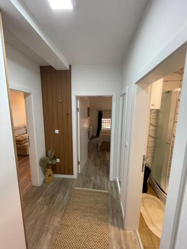 Apartman Prodan in Sombor