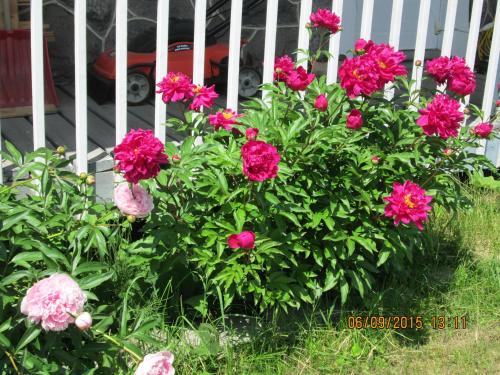 简恩汽车旅馆 简恩汽车旅馆