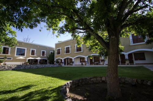 Viesnīcas āriene, La Casona Del Banco Hotel Boutique in Parras de la Fuente
