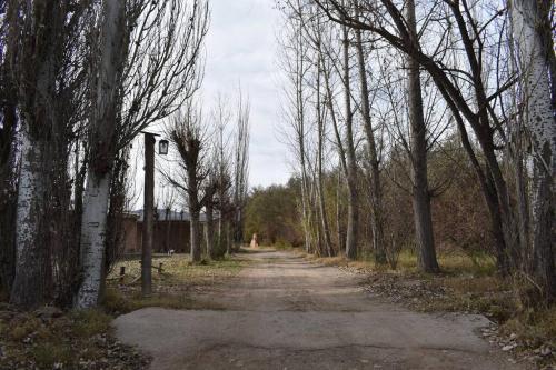 Cabaña Finca el Oasis en Jáchal, San Juan (Cabana Finca el Oasis en Jachal, San Juan) in San Jose de Jachal