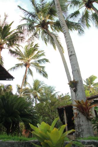 Pousada Oasis - image 2