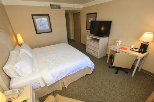 490624425 Holiday Inn Leon-Convention Center by IHG
