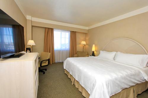 490624432 Holiday Inn Leon-Convention Center by IHG