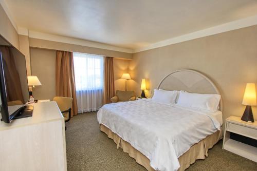 490624438 Holiday Inn Leon-Convention Center by IHG