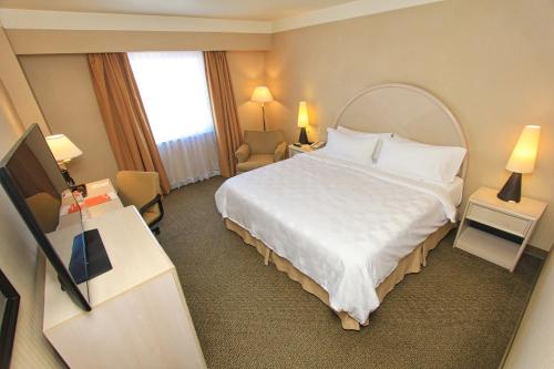 490624454 Holiday Inn Leon-Convention Center by IHG
