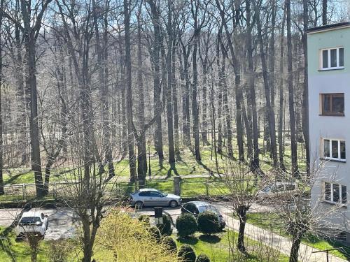 Apartament przy Parku