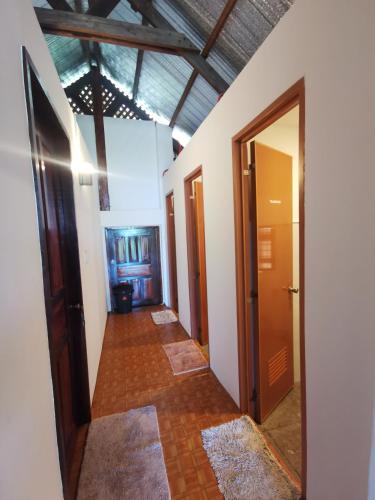 Mera's Garden Mera's Garden