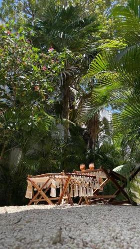 casa damiana in Mérida, Mexico